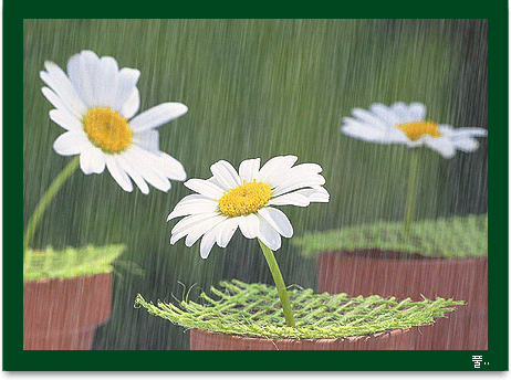 ����ũ��� ����